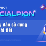 socialpion-huong-dan-su-dung-tool-chi-tiet